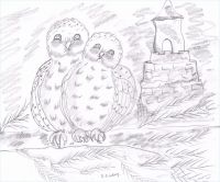 Snowy owl love